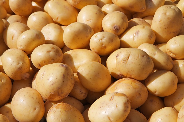 Kartoffelkiste in Brenkhausen